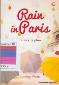 Image of Rain in paris